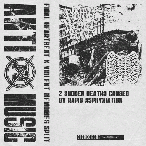 Final Heartbeat : 2 Sudden Deaths Caused by Rapid Asphyxiation